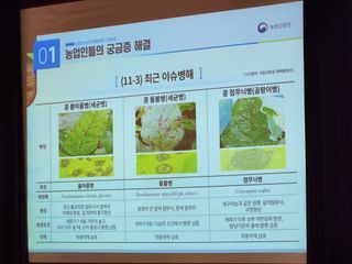안산제일농약사님의 자유주제 · 자유게시판 작성글 사진