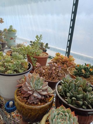 유영옥님의 자유주제 · 자유게시판 작성글 사진