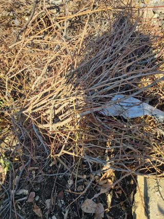 김용대님의 자유주제 · 자유게시판 작성글 사진