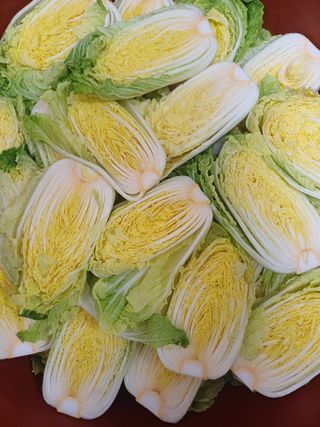 삼성농산님의 자유주제 · 자유게시판 작성글 사진