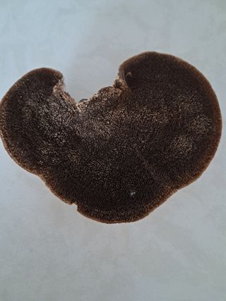 류남열님의 자유주제 · 자유게시판 작성글 사진