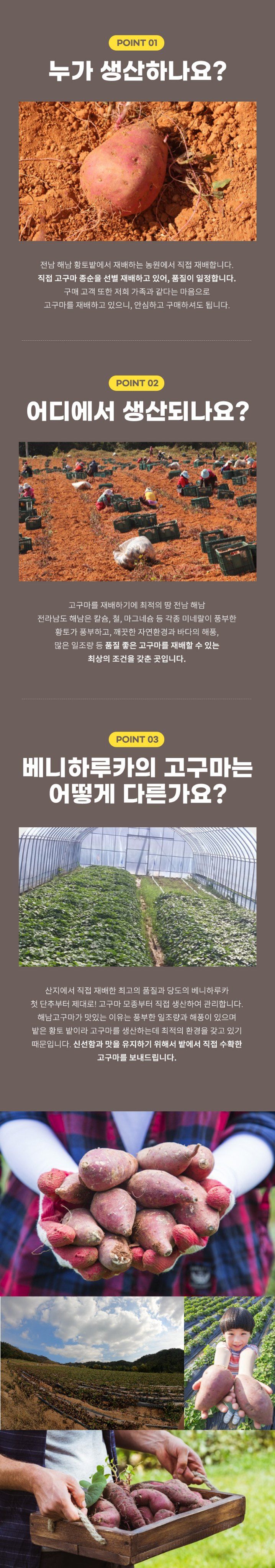 스피드번님의 장터 판매 상품 [(비세척) 베니하루카 해남 꿀 고구마] 첨부 사진