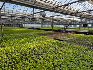 청운농원육묘장님의 자유주제 · 자유게시판 작성글 사진