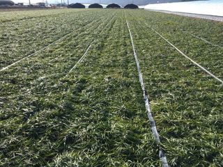 이은화님의 자유주제 · 자유게시판 작성글 사진