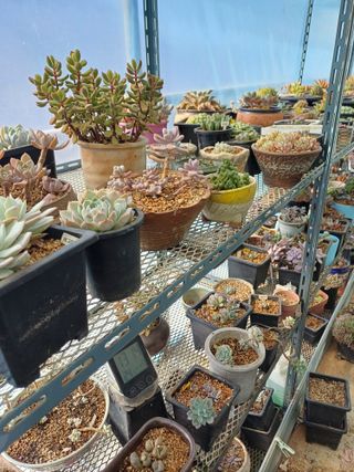 유영옥님의 자유주제 · 자유게시판 작성글 사진