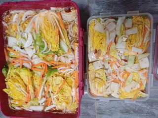 삼성농산님의 자유주제 · 자유게시판 작성글 사진