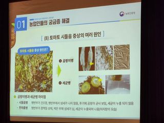 안산제일농약사님의 자유주제 · 자유게시판 작성글 사진