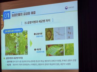 안산제일농약사님의 자유주제 · 자유게시판 작성글 사진