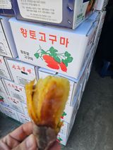 팜모닝 · 게시글 이미지