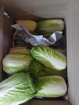 삼성농산님의 자유주제 · 자유게시판 작성글 사진