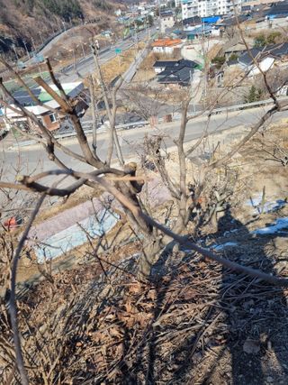 김용대님의 자유주제 · 자유게시판 작성글 사진