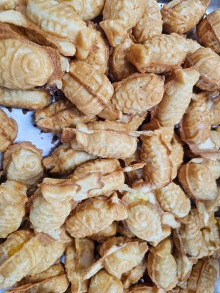 백용기님의 자유주제 · 자유게시판 작성글 사진