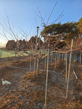 자연인님의 자유주제 · 자유게시판 작성글 사진