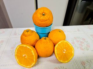 새달귤농장님의 작성글 사진