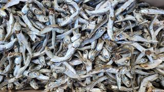 이미경님의 작성글 사진