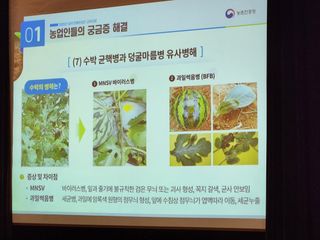 안산제일농약사님의 자유주제 · 자유게시판 작성글 사진