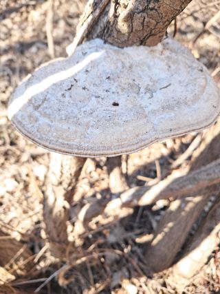 류남열님의 자유주제 · 자유게시판 작성글 사진