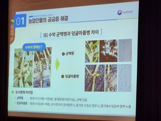 안산제일농약사님의 자유주제 · 자유게시판 작성글 사진