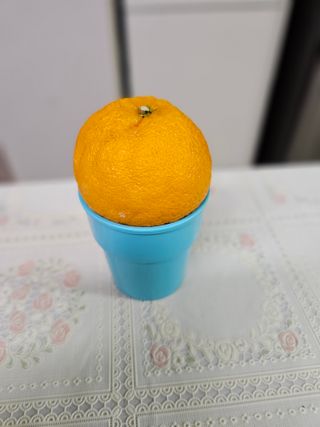 새달귤농장님의 작성글 사진