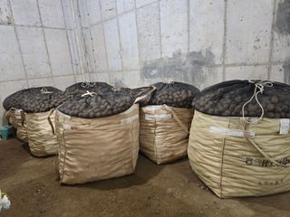 장관덕님의 자유주제 · 자유게시판 작성글 사진