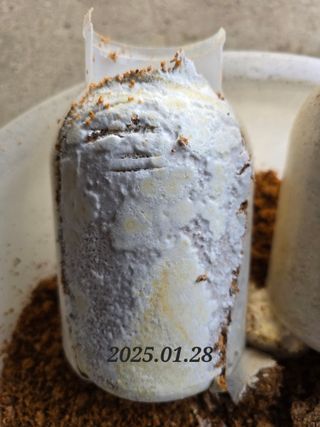 김성환님의 자유주제 · 자유게시판 작성글 사진