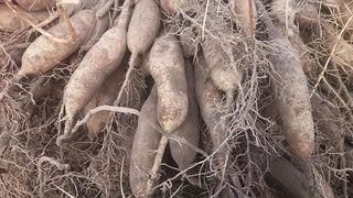 이창신님의 자유주제 · 자유게시판 작성글 사진