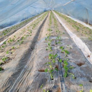 빛그린 김용화님의 자유주제 · 자유게시판 작성글 사진