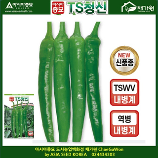 아시아종묘님의 자유주제 · 자유게시판 작성글 사진