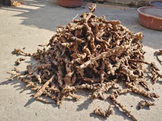 이현상님의 자유주제 · 자유게시판 작성글 사진