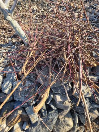 김용대님의 자유주제 · 자유게시판 작성글 사진