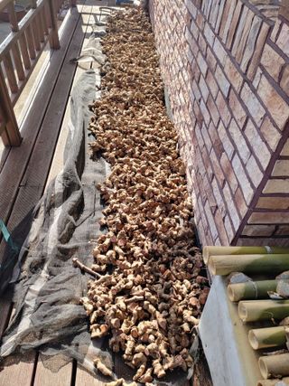 이현상님의 자유주제 · 자유게시판 작성글 사진