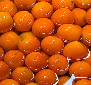 농부손녀님의 작성글 사진