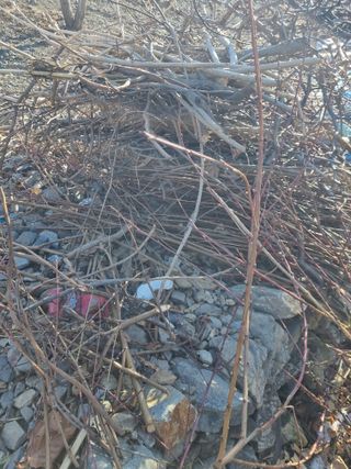 김용대님의 자유주제 · 자유게시판 작성글 사진