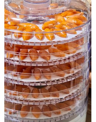 농부손녀님의 작성글 사진