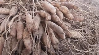 이창신님의 자유주제 · 자유게시판 작성글 사진