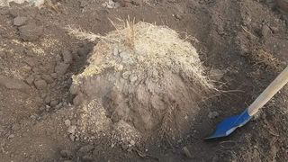 이창신님의 자유주제 · 자유게시판 작성글 사진