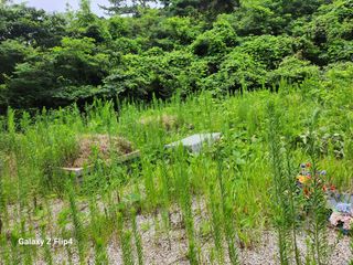 송기인님의 자유주제 · 자유게시판 작성글 사진