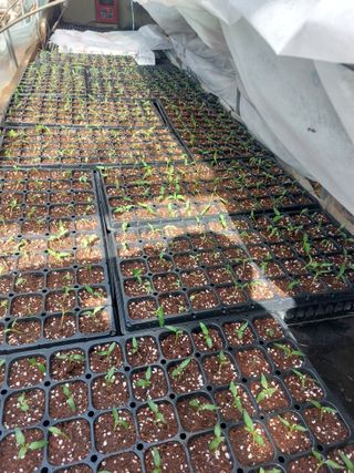 정연국님의 자유주제 · 자유게시판 작성글 사진