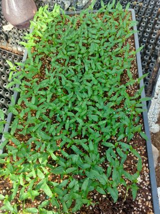 정연국님의 자유주제 · 자유게시판 작성글 사진