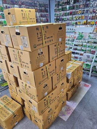 대산농사대장님의 감자·자유게시판 작성글 사진