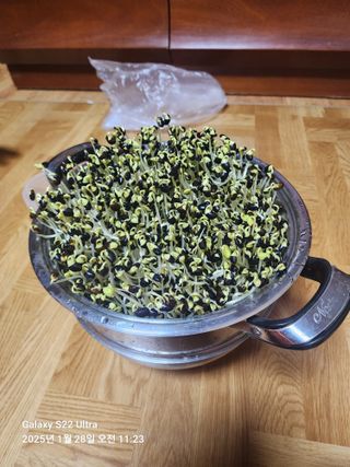 용수리또리농장님의 자유주제 · 자유게시판 작성글 사진