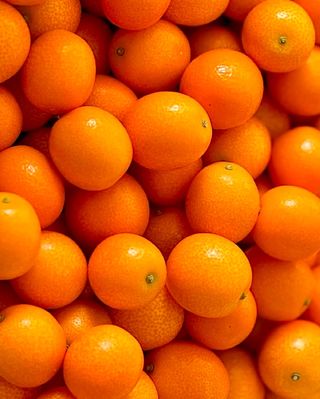 농부손녀님의 작성글 사진