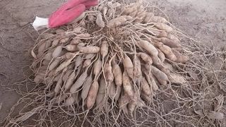 이창신님의 자유주제 · 자유게시판 작성글 사진