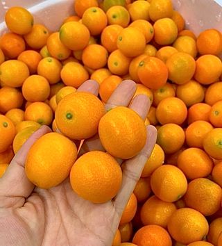 농부손녀님의 작성글 사진