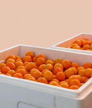 농부손녀님의 작성글 사진