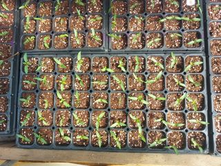 정연국님의 자유주제 · 자유게시판 작성글 사진