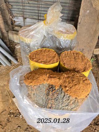 김성환님의 자유주제 · 자유게시판 작성글 사진