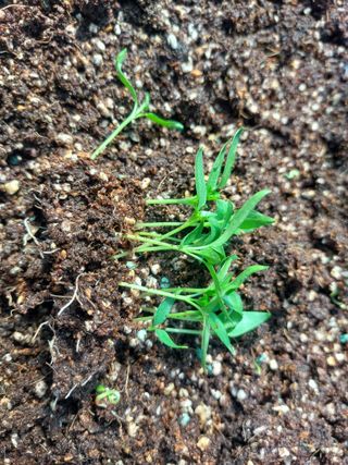 정연국님의 자유주제 · 자유게시판 작성글 사진