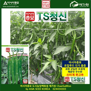 아시아종묘님의 자유주제 · 자유게시판 작성글 사진