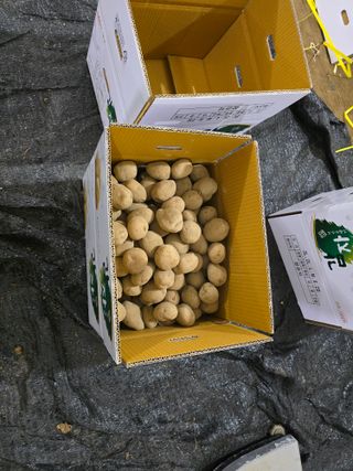 장관덕님의 자유주제 · 자유게시판 작성글 사진